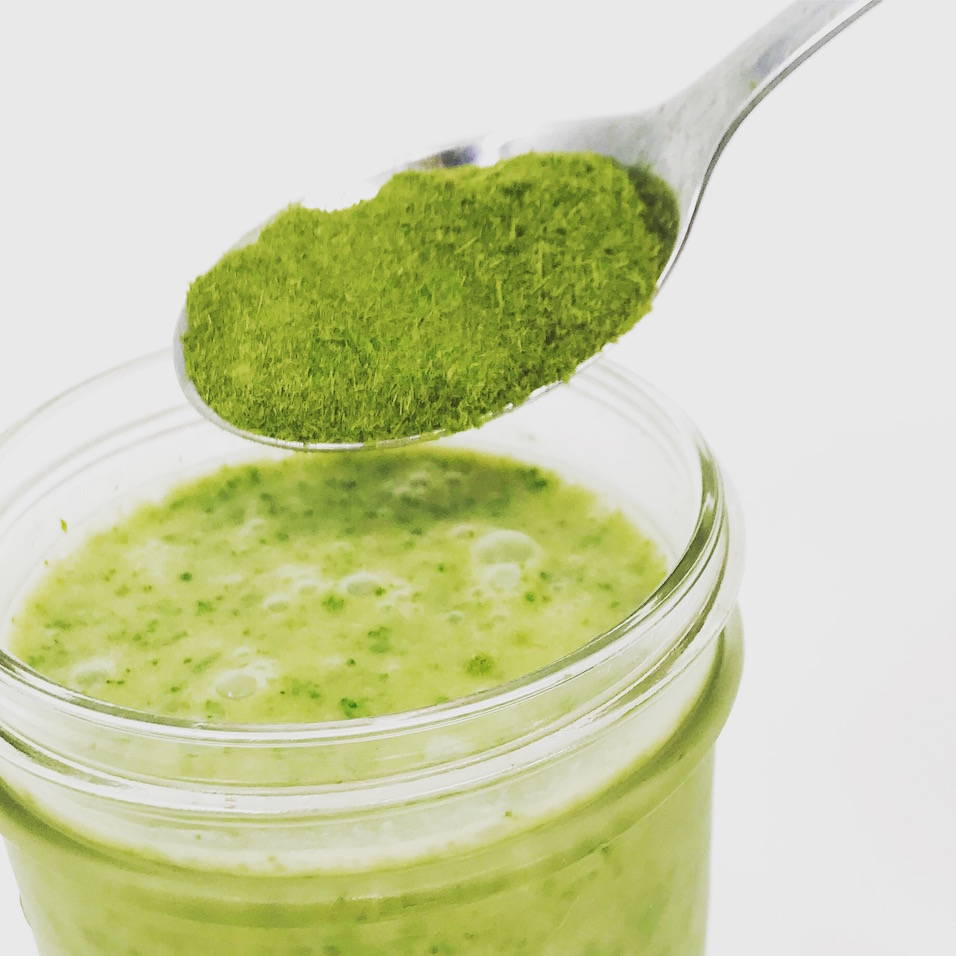 Green powder superfood powder made of wheatgrass.