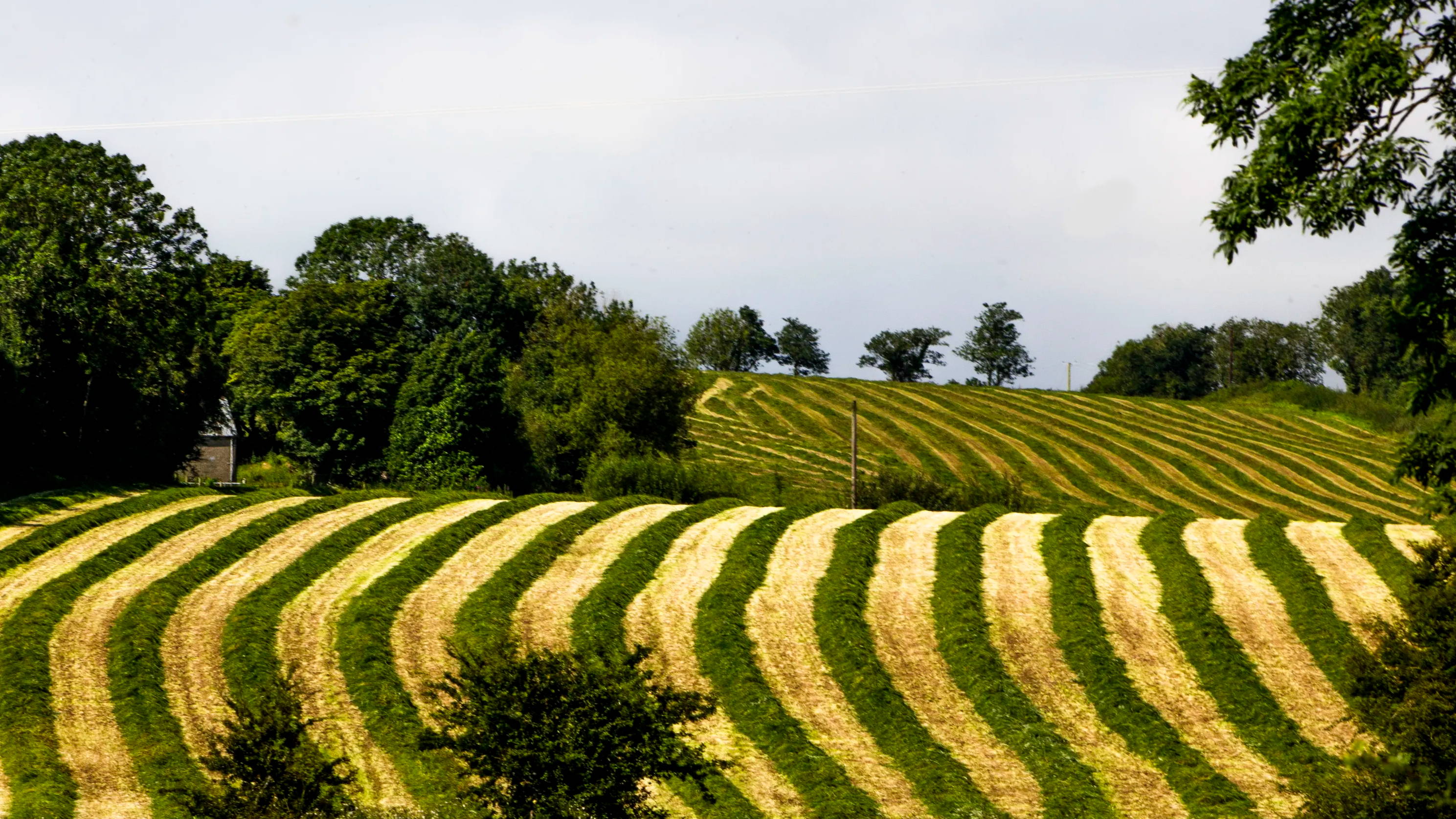How far can you run a security camera cable?