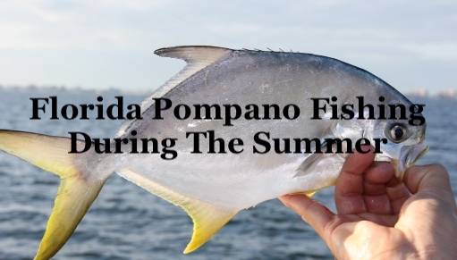 Florida Pompano Fishing During The Summer