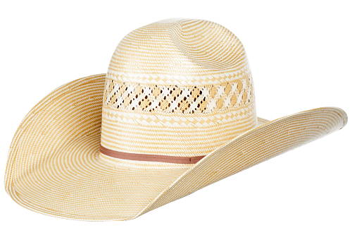 cowpuncher hat vaquero hat