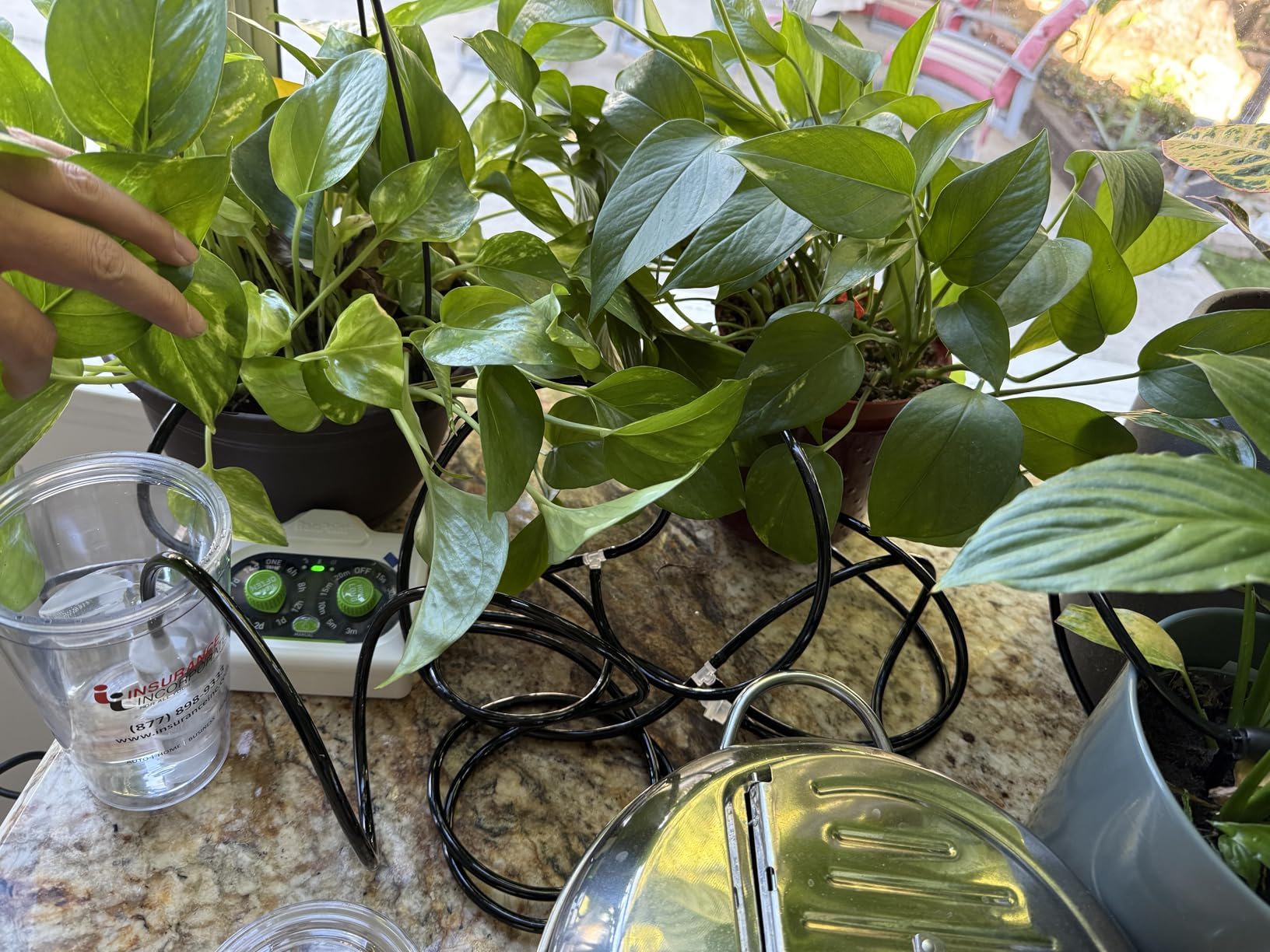 Potted plants with a glass of water and tangled cords.