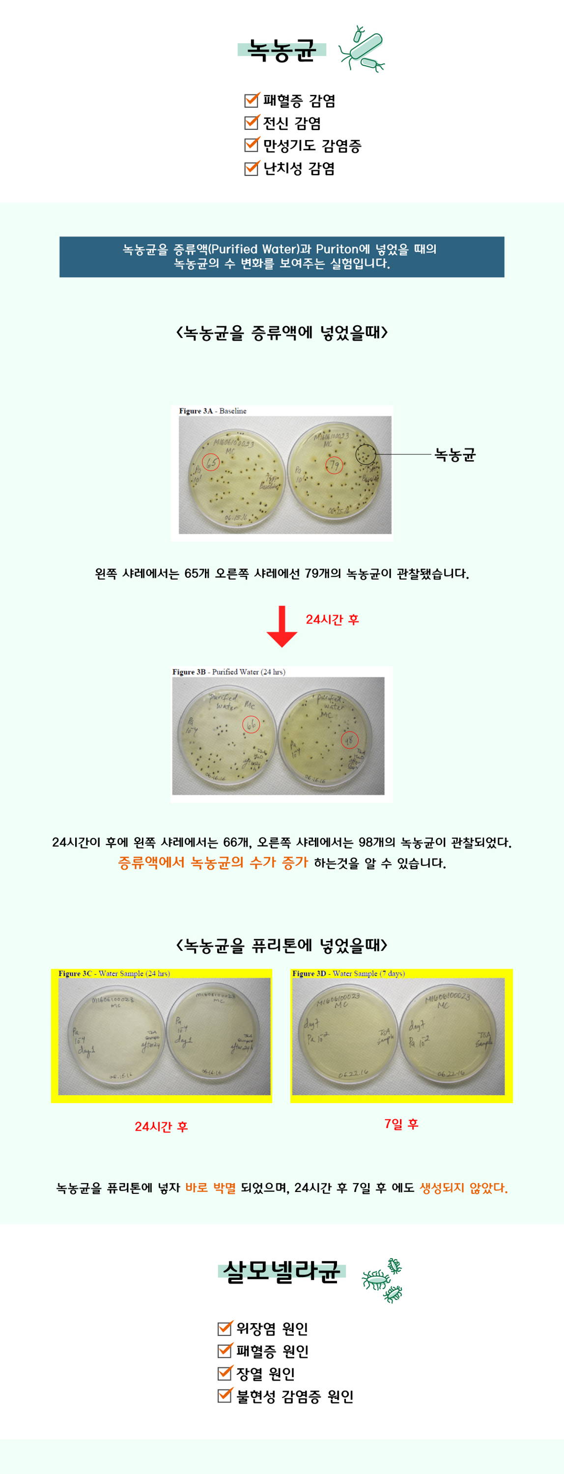 유해균 박멸 및 2차 세균 감염방지 복부통증 패혈증 피부염 발열 식중독 대장균 포초상구균 녹농균 살모넬라균 칸디다균 유아 성인 설사증 원인 출혈성 대장염 용혈성 요독증증후군 