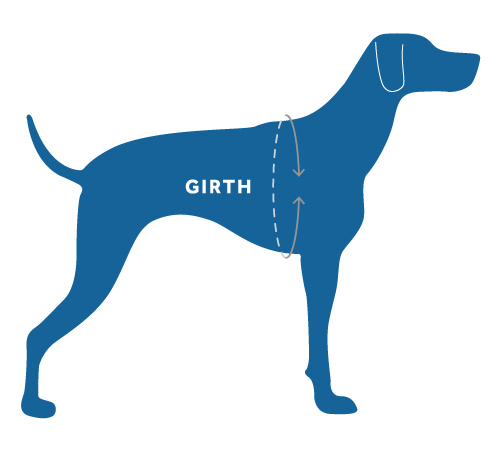 Dog measuring guideline