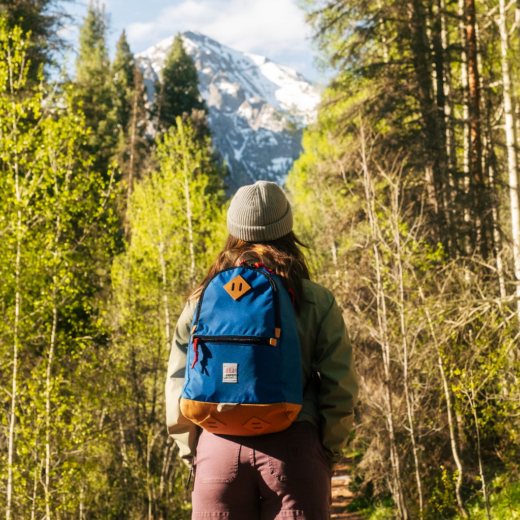 Person with a backpack hiking on a forest path with mountains in the background.