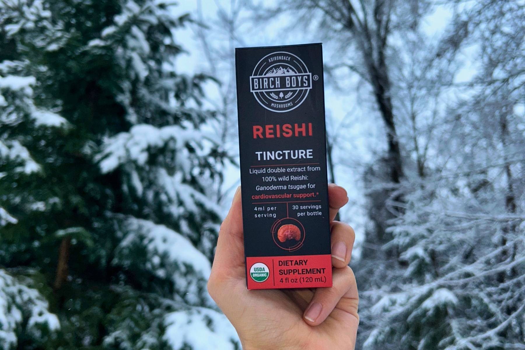 Reishi Mushroom Tincture in a winter forest