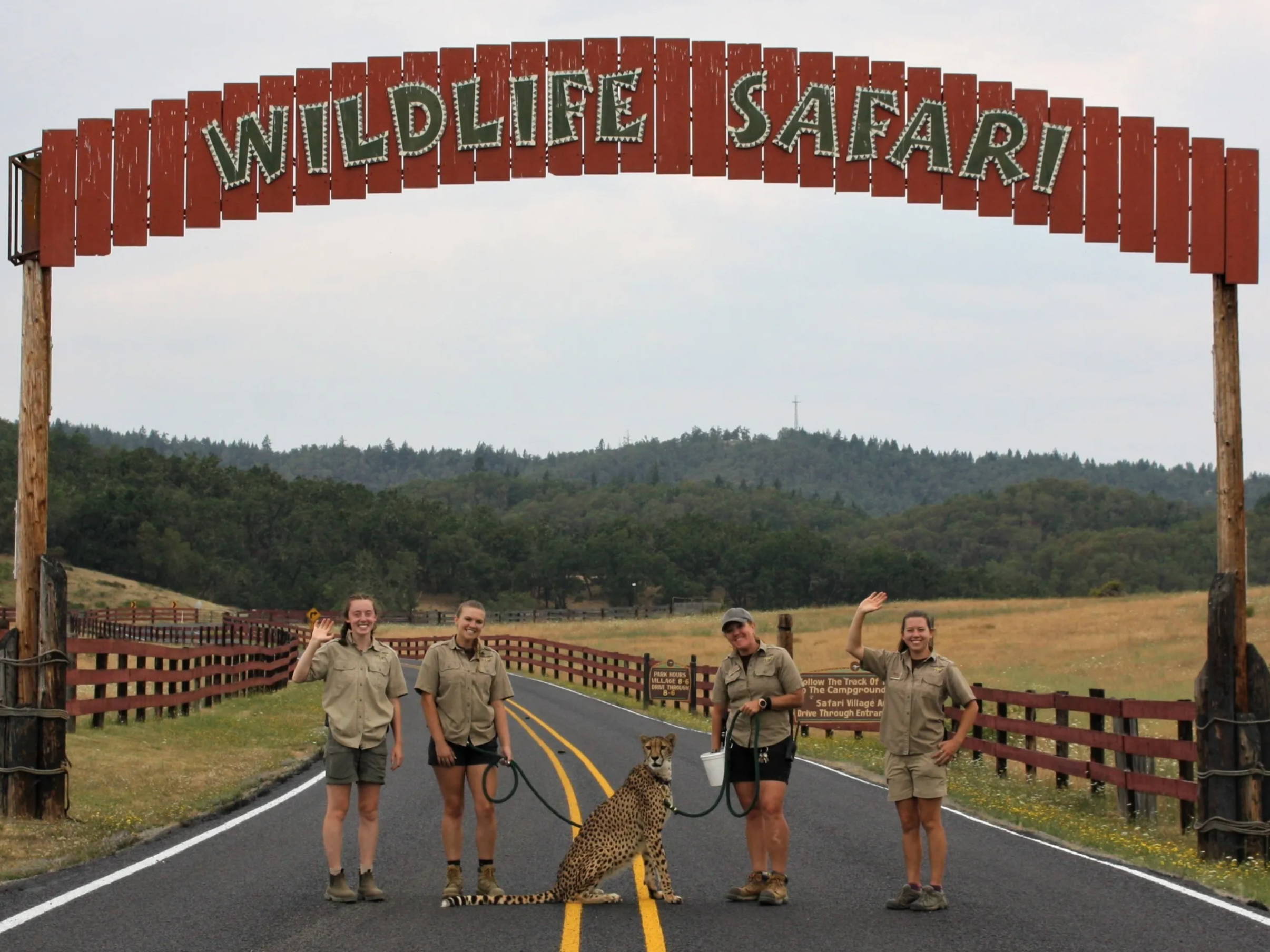 wildlife animal safari ga
