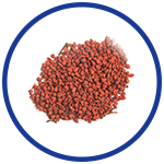 Annatto Seed for Relieving Pain