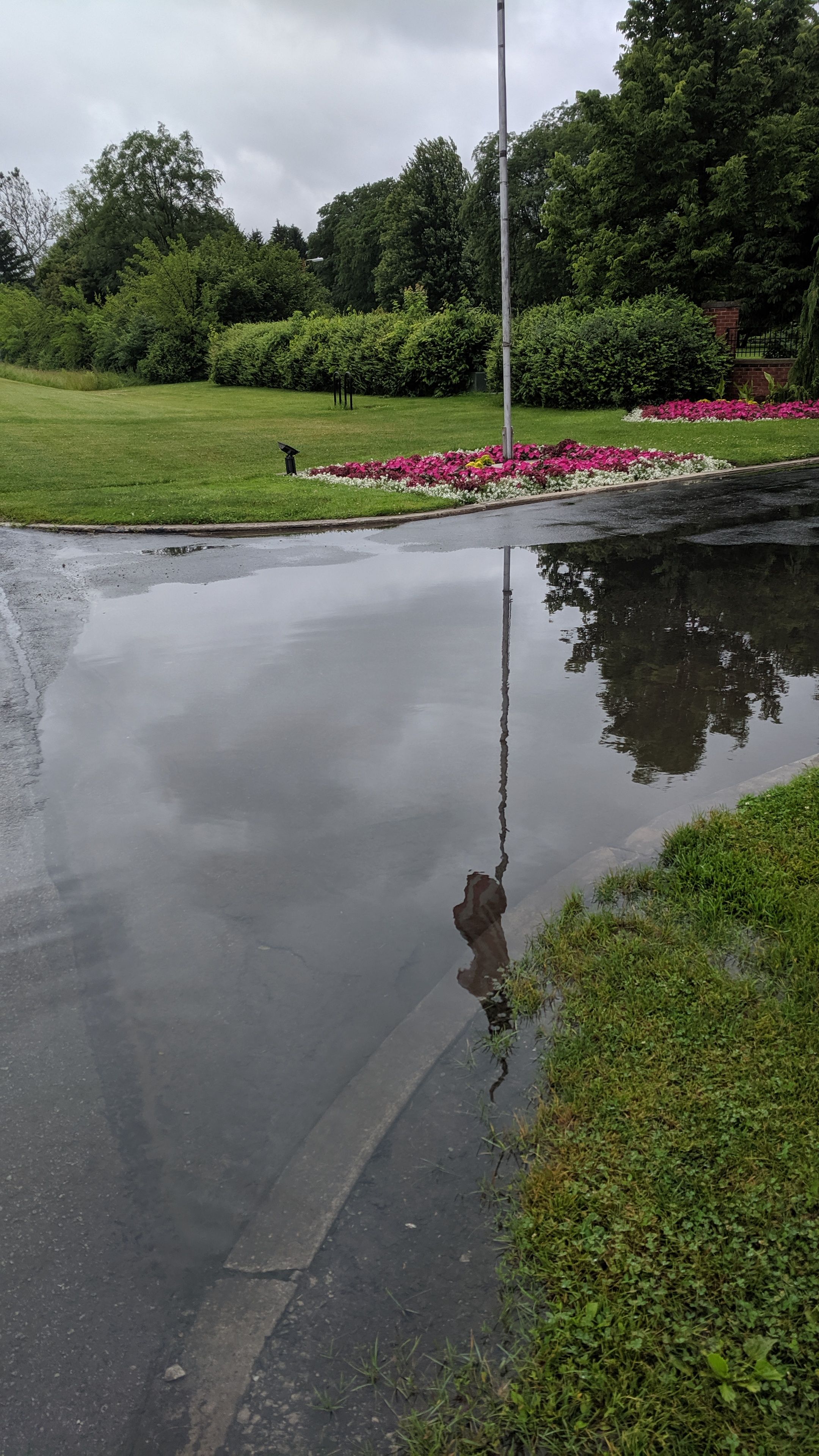 Flooded driveway that needs a trenchdrain