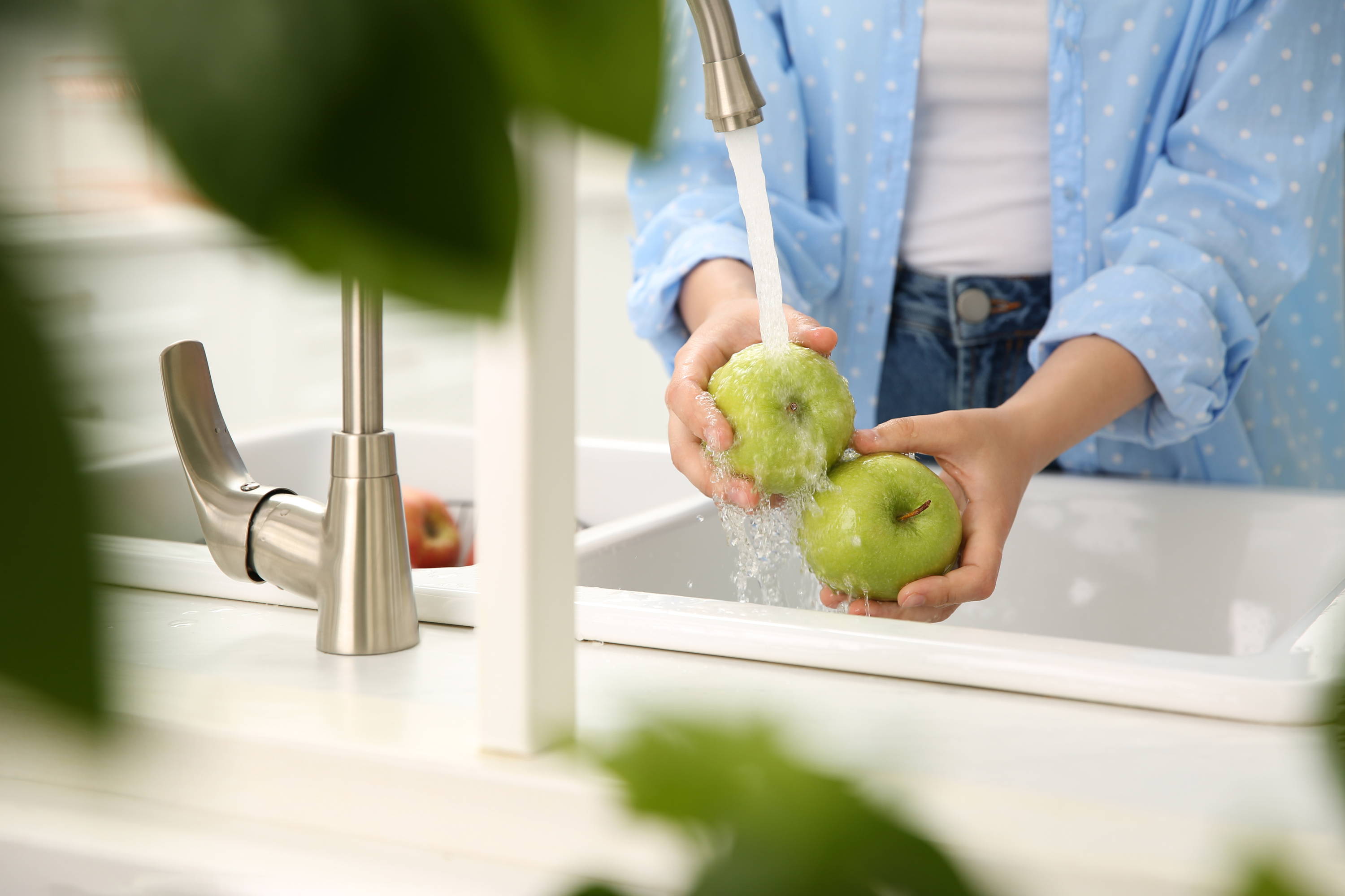 Washing apples with purified water