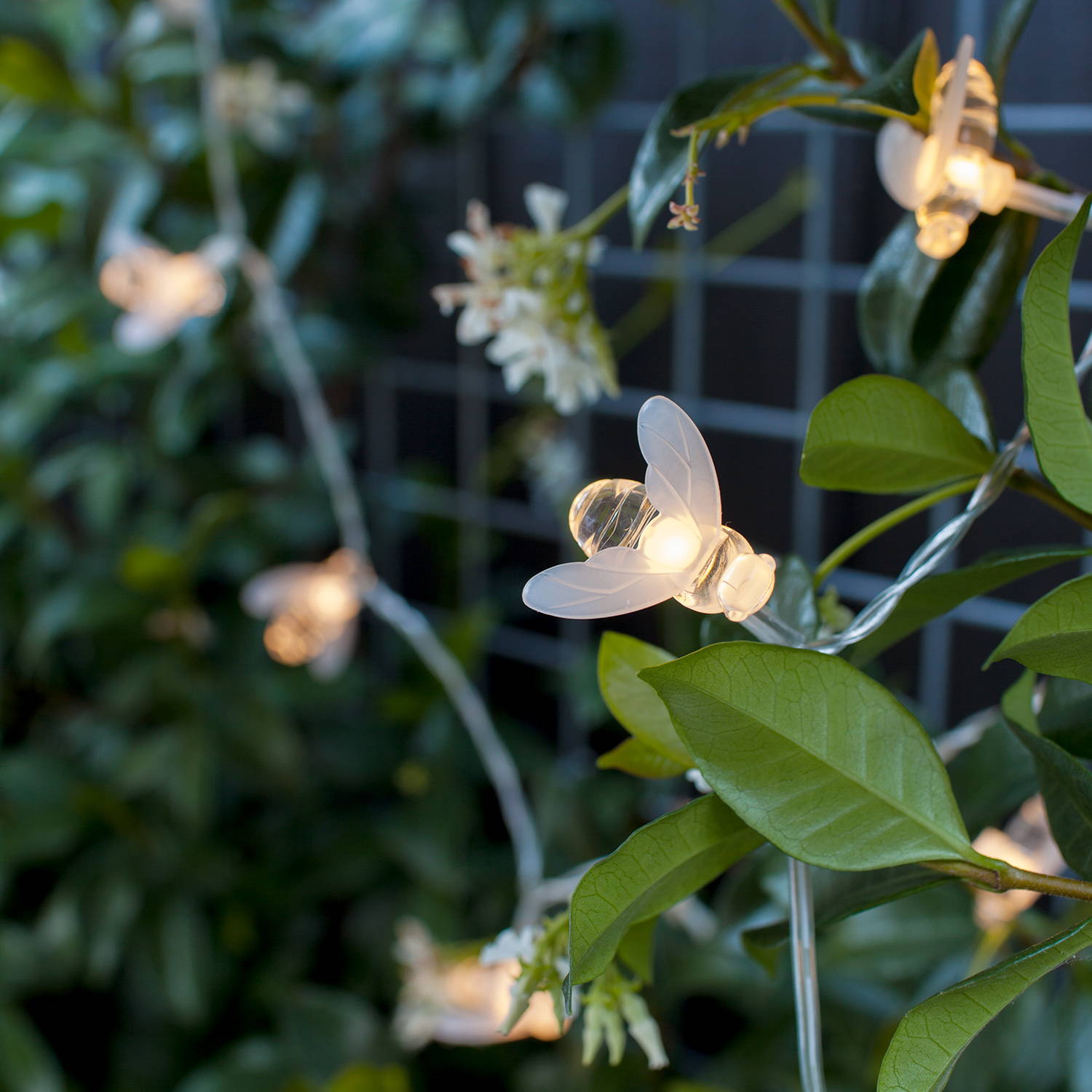 LED Bee fairy lights hanging from fencing amongst leaves and flowers