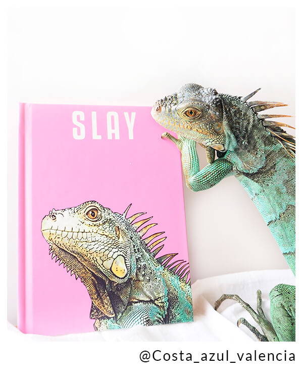 iguana next to custom journal