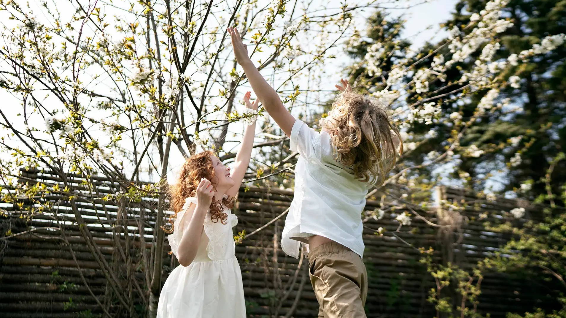  Ein Mädchen und ein Junge spielen zusammen draußen und springen, um die zarten rosa Blüten an den Bäumen zu berühren