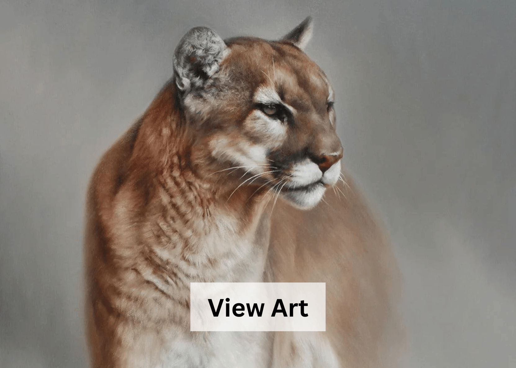 edward aldrich wildlife art