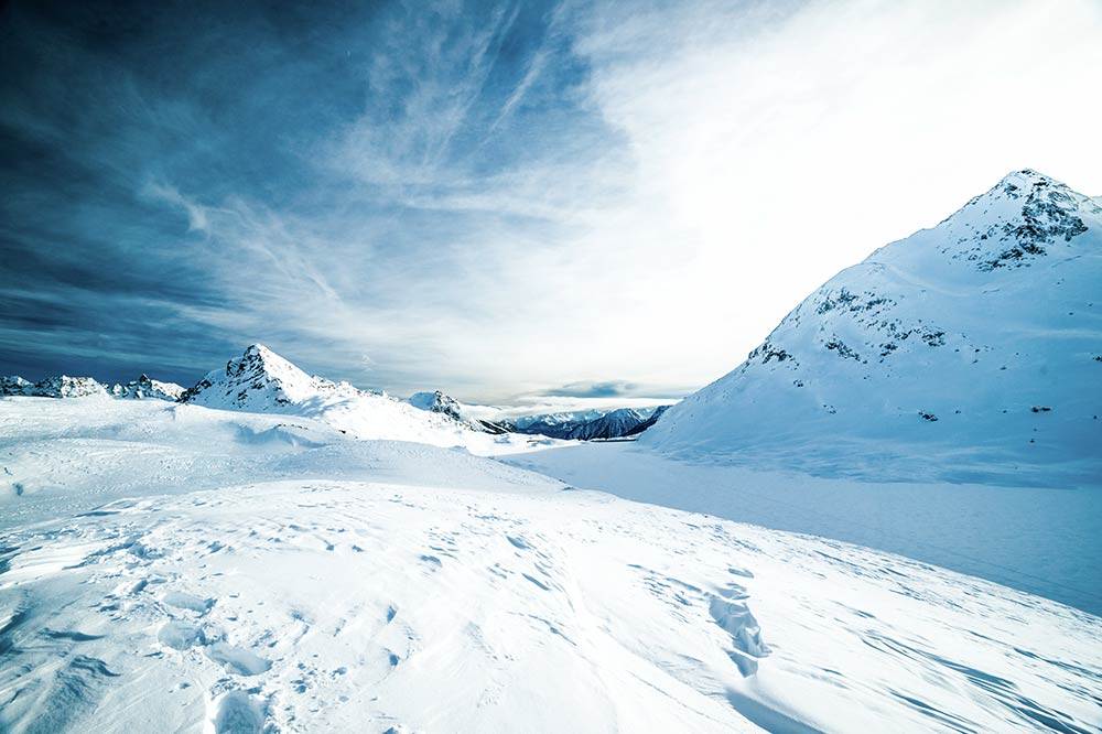 arctic polar desert