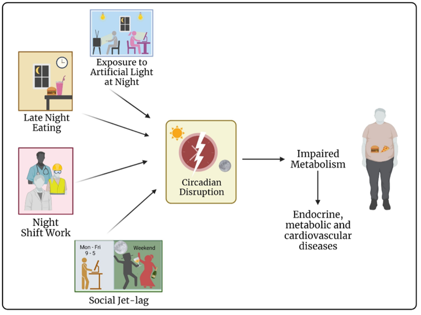 impaired metabolism from circadian disruption, social jet lag, night shift work, late night eating, exposure to artificial light at night