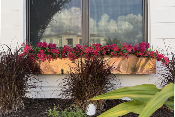 Flower box with pink flowers and decorative plants below a window.