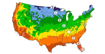 Hardiness zone image of the United States