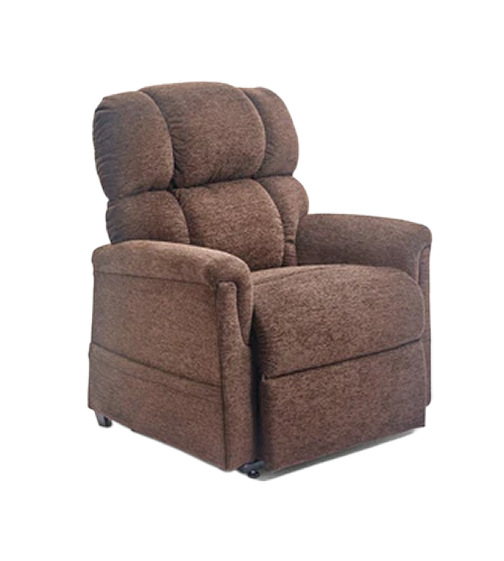 Double motor lift chair