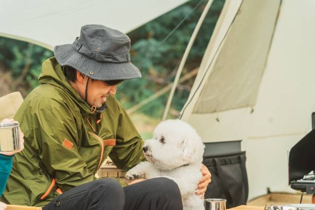 愛犬と楽しめるおすすめキャンプ場