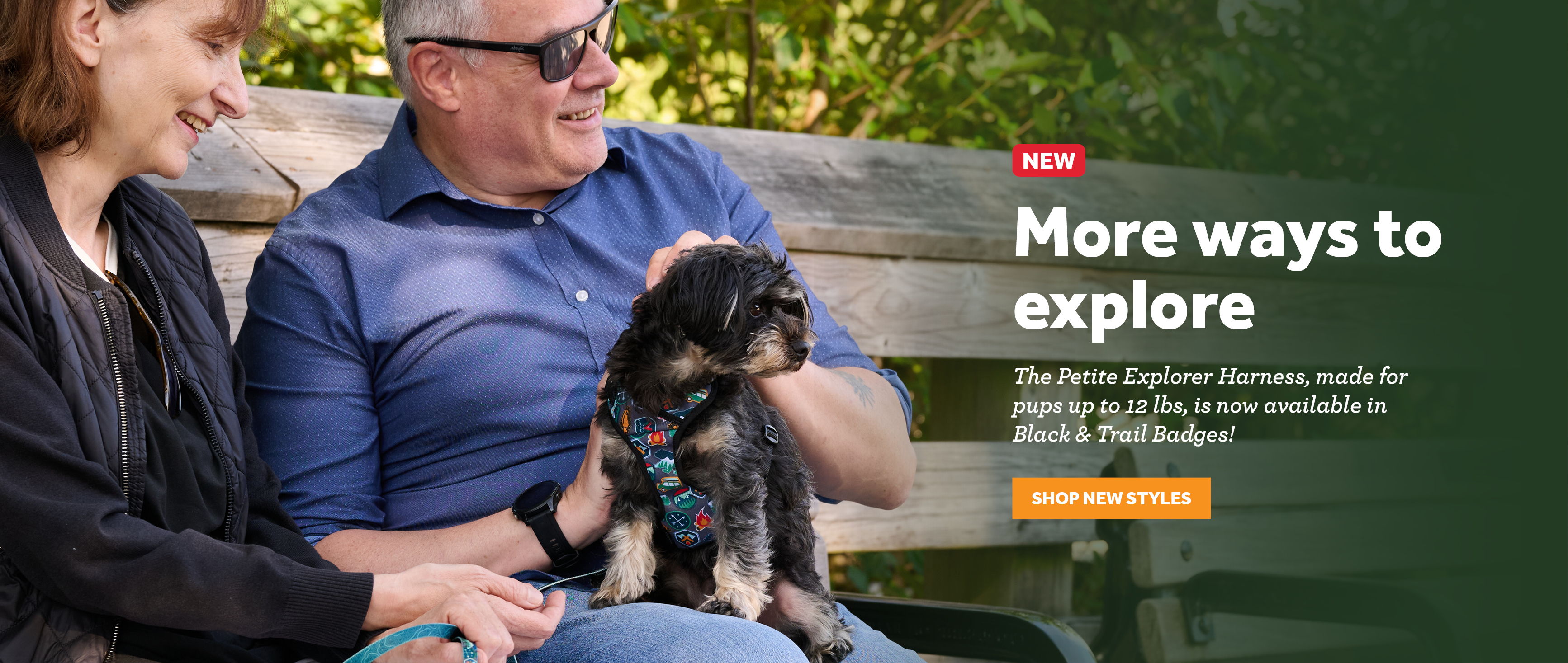 A man and a woman sitting on a bench with a small dog.