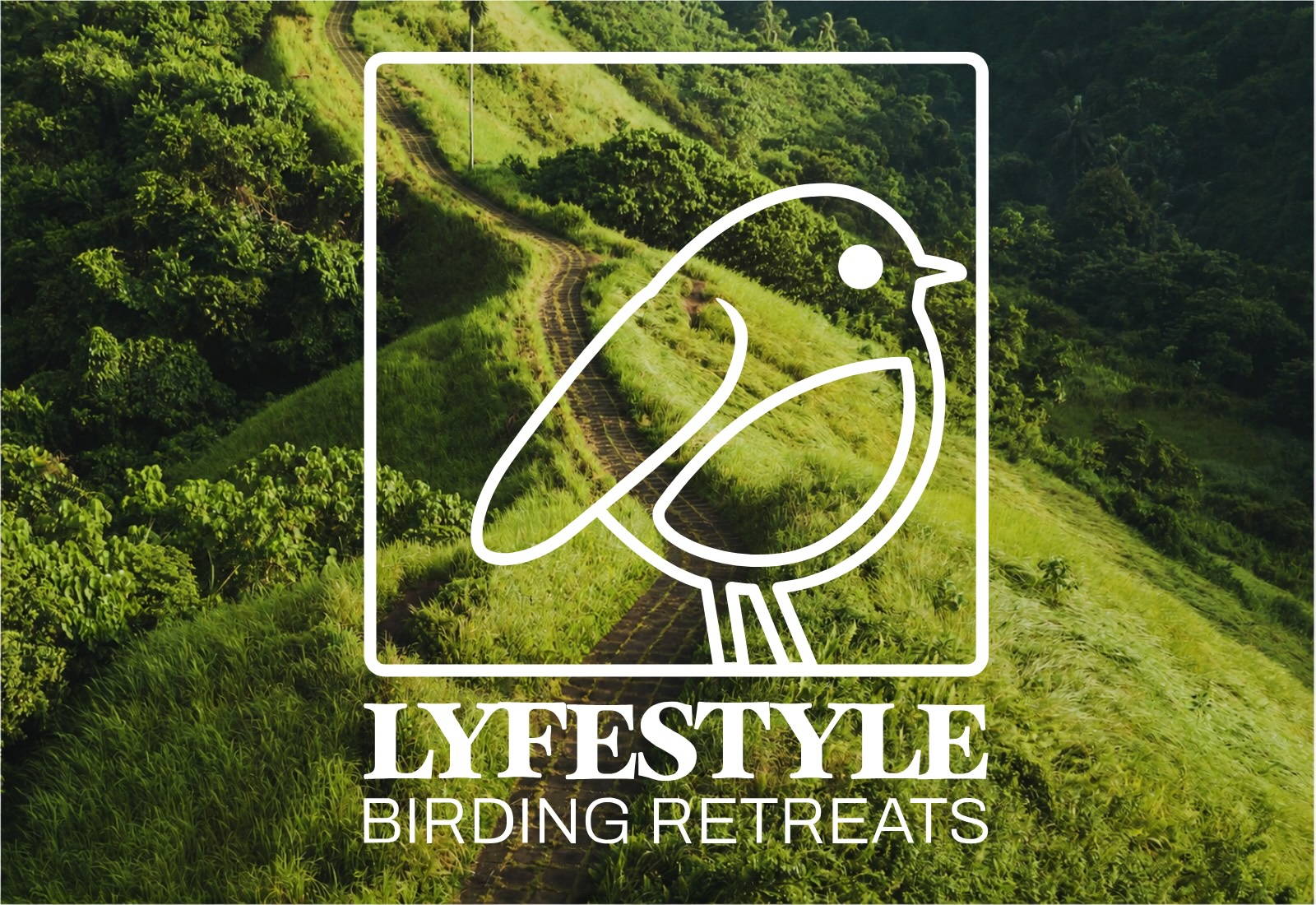 Main image of LYFESTYLE birding retreat image with ubud landscape in background