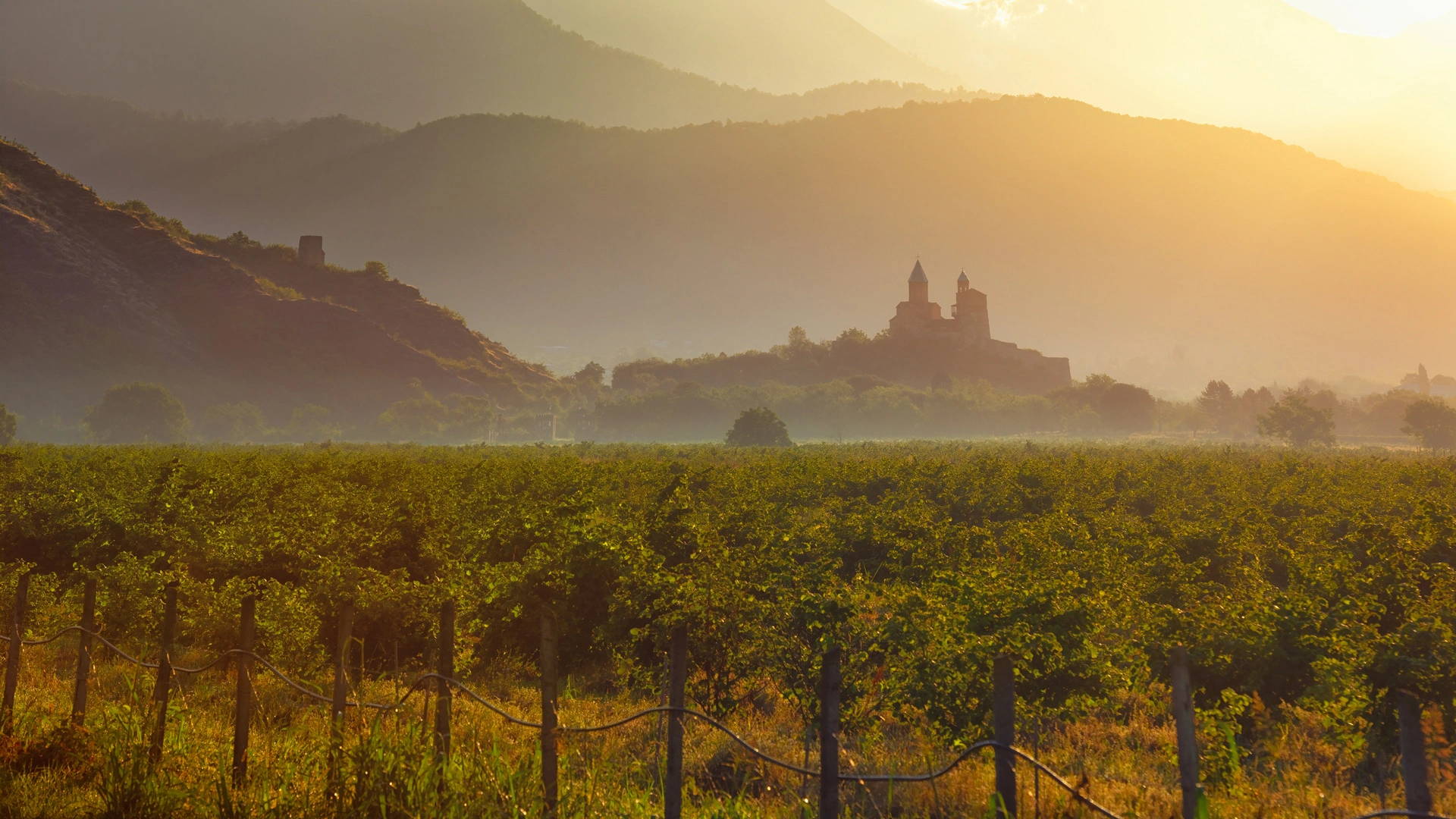 Sonnenuntergang über einem Weinberg, der zur Gremi-Festung führt, mit dem Kaukasusgebirge im Hintergrund, das den reichen Weinbau und das Erbe Georgiens symbolisiert.