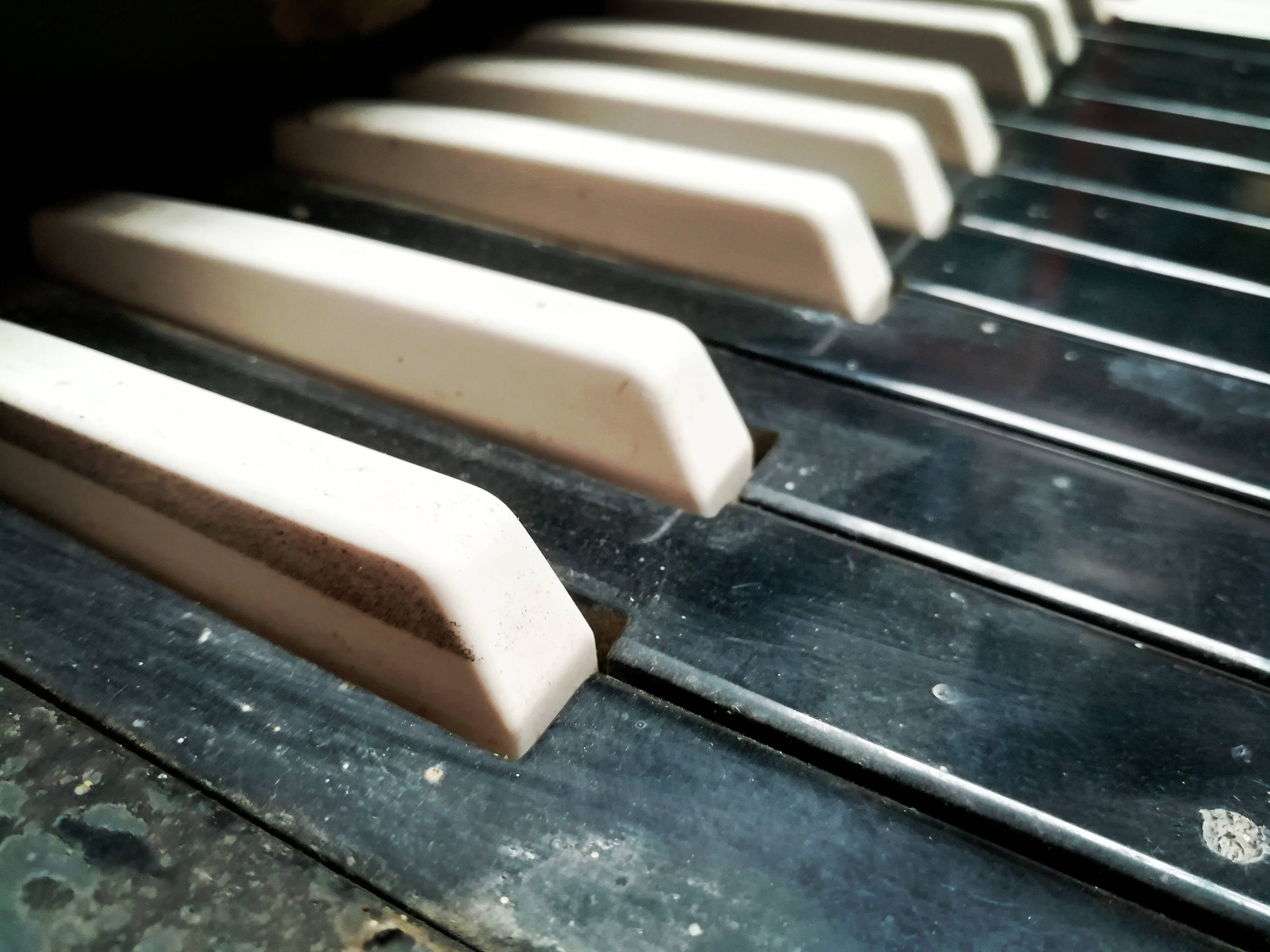 Vintage ebony wood piano keys
