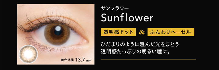 クルーム(CRUUM),サンフラワー,Sunflower,透明感ドット＆ふんわりヘーゼル,ひだまりのように澄んだ光をまとう透明感たっぷりの明るい瞳に。,着色外径13.7mm|クルーム(CRUUM) 1day ワンデーコンタクトレンズ