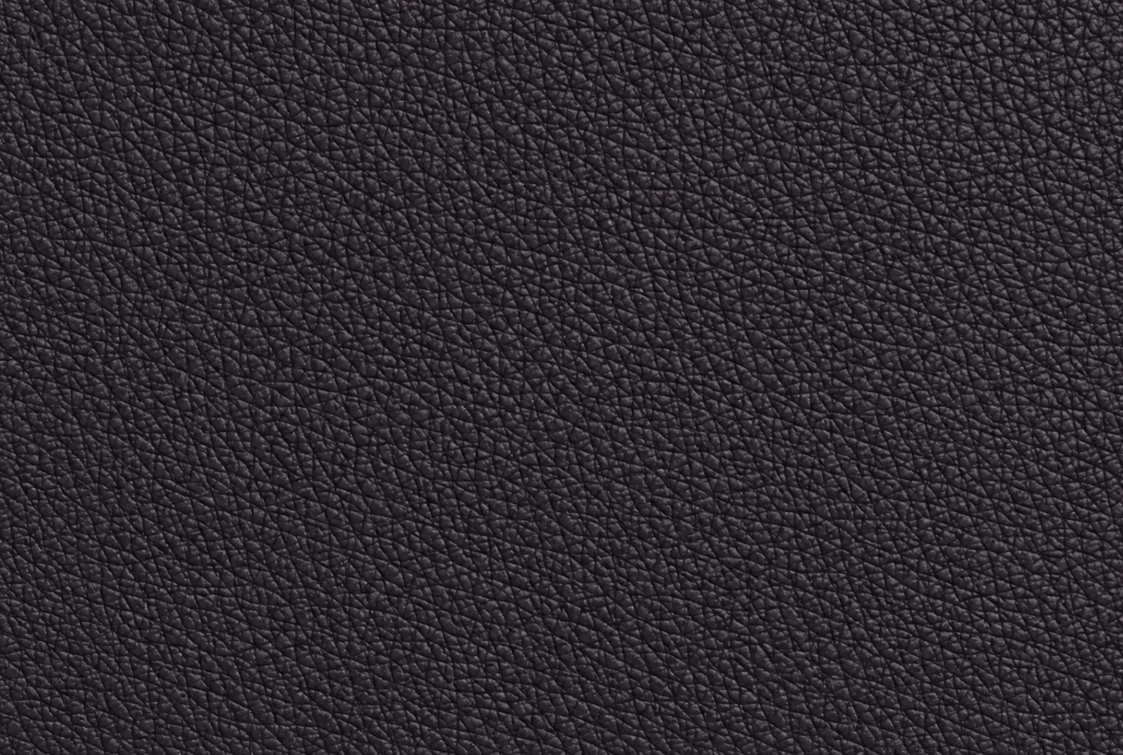 Textured dark purple leather background.
