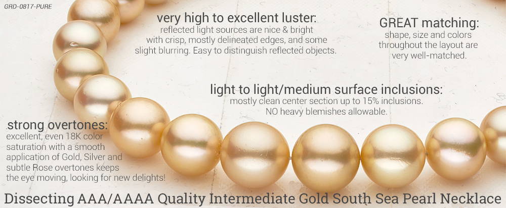 Intermediate Grade Golden South Sea Necklace AAA/AAAA