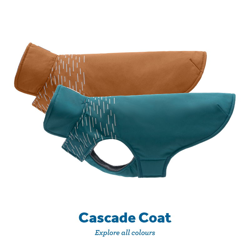 Two dog coats in brown and teal colors. Cascade Coat. Explore all colors.