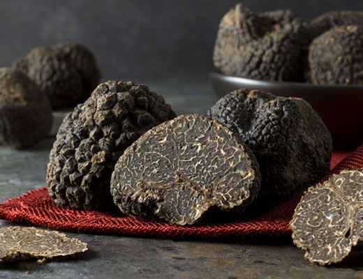 A collection of black truffles on a red cloth.