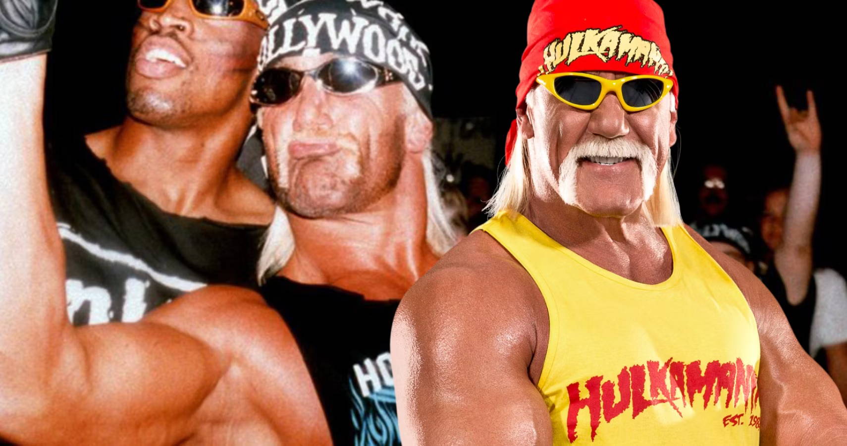 hulk hogan wcw