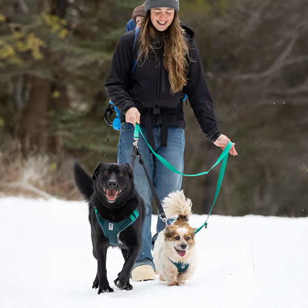A woman walks two dogs on leashes in the snow.