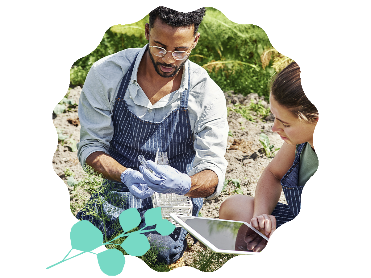 A pair of people gardening and identifying plants- Babo Botanicals