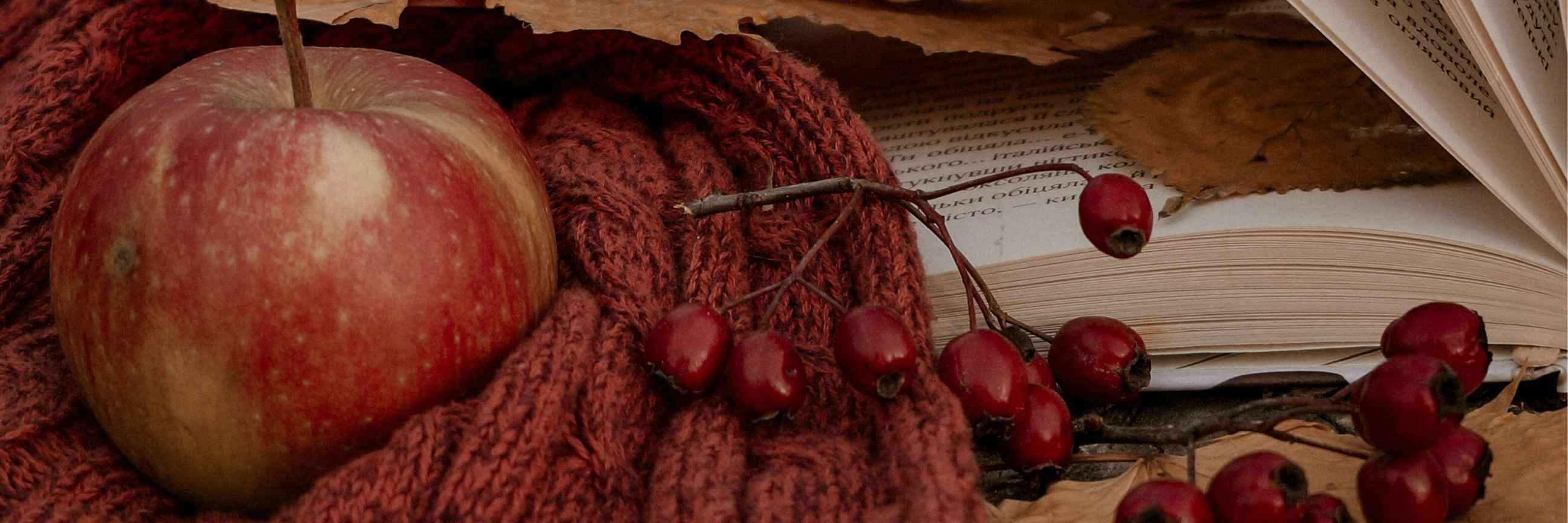 Banner, dass ein Strickstück mit Apfel, Buch und herbstlicher Deko zeigt.