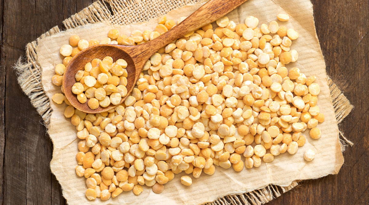 organic yellow peas|plant based vegn protein weight loss 