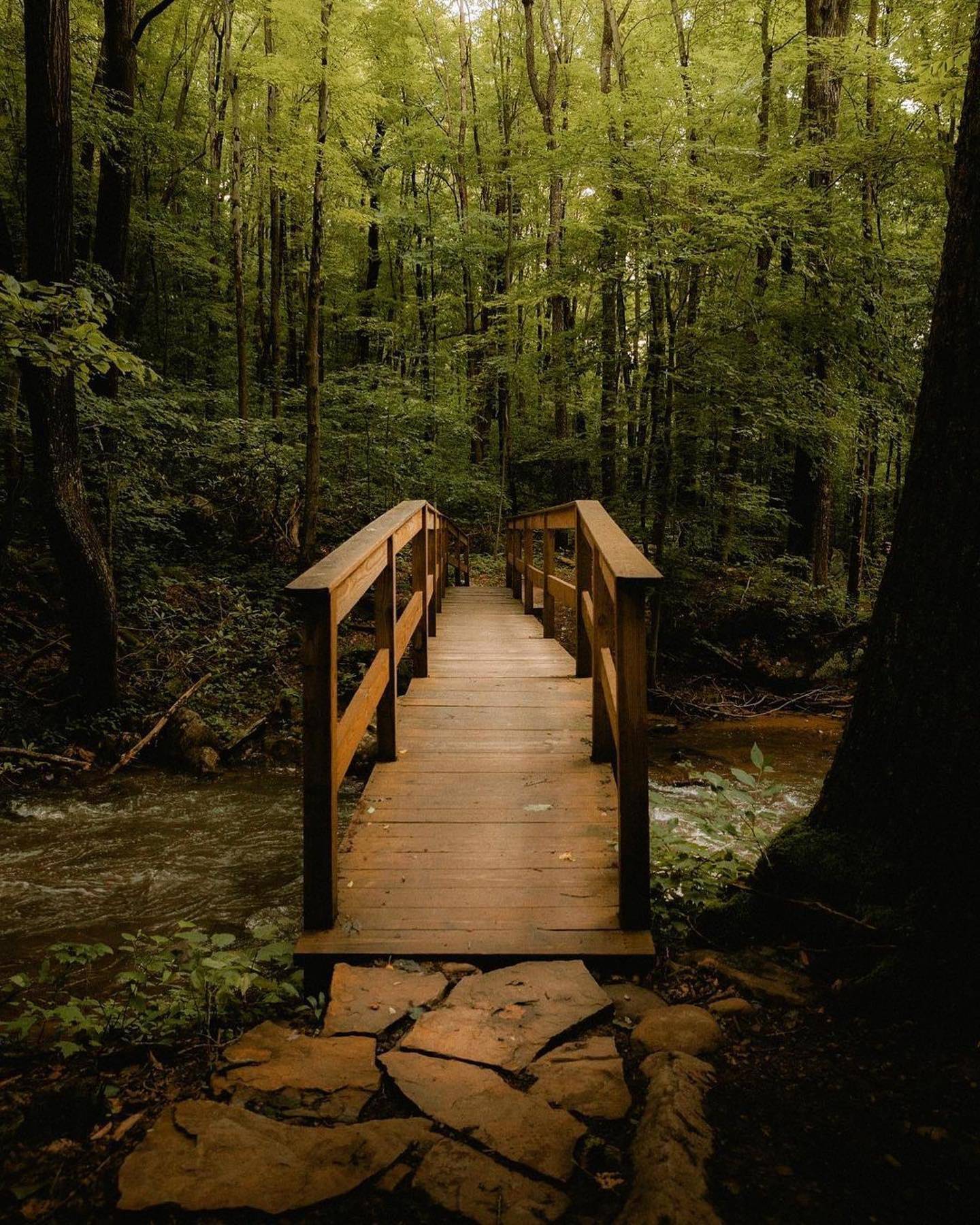 Jonathan Run Falls Trail in Ohiopyle State Park