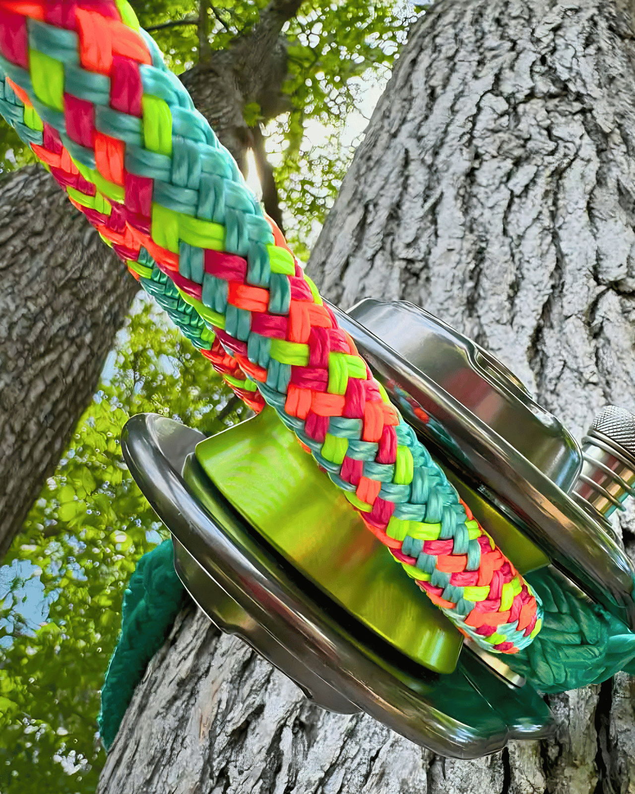 Colorful rope and pulley system attached to a tree trunk.