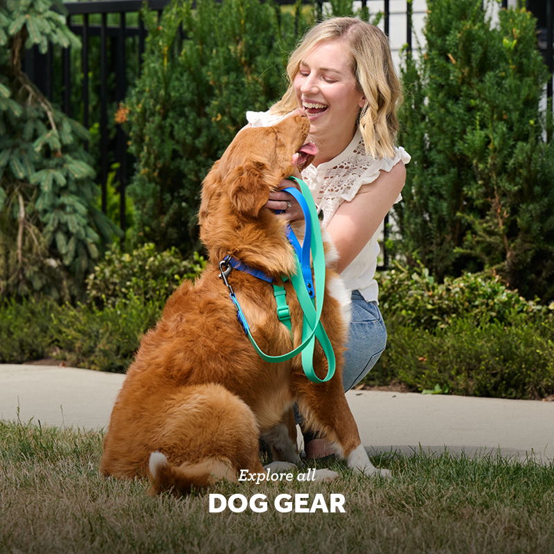 Woman playing with a dog outdoors, surrounded by greenery.