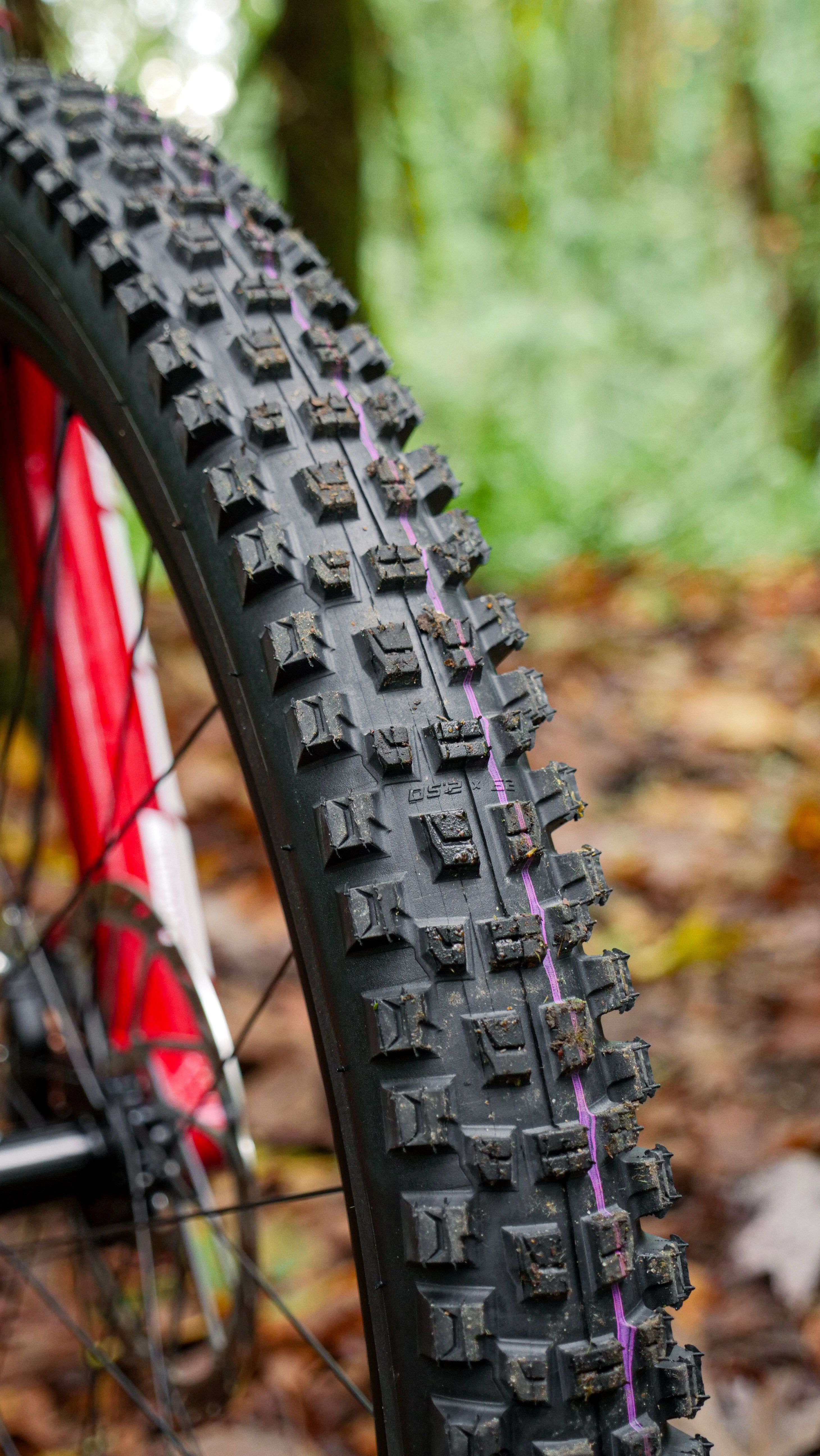 Close-up of a mountain bike tire on a forest floor.