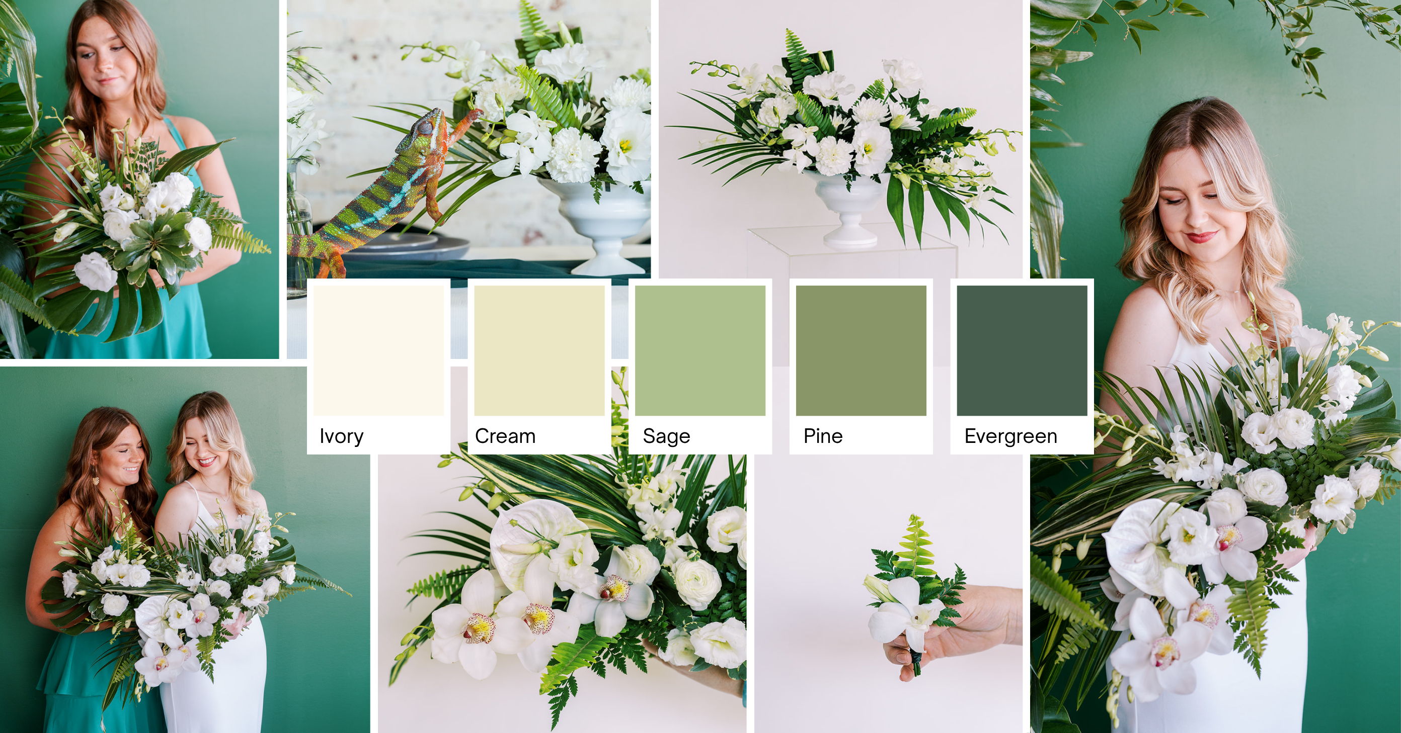 tropical minimalism