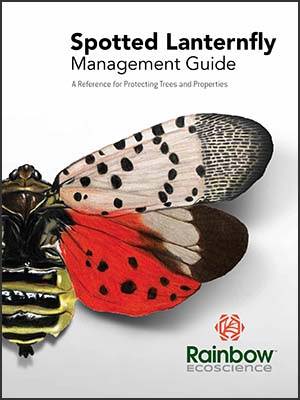 Spotted Lanternfly Management Guide