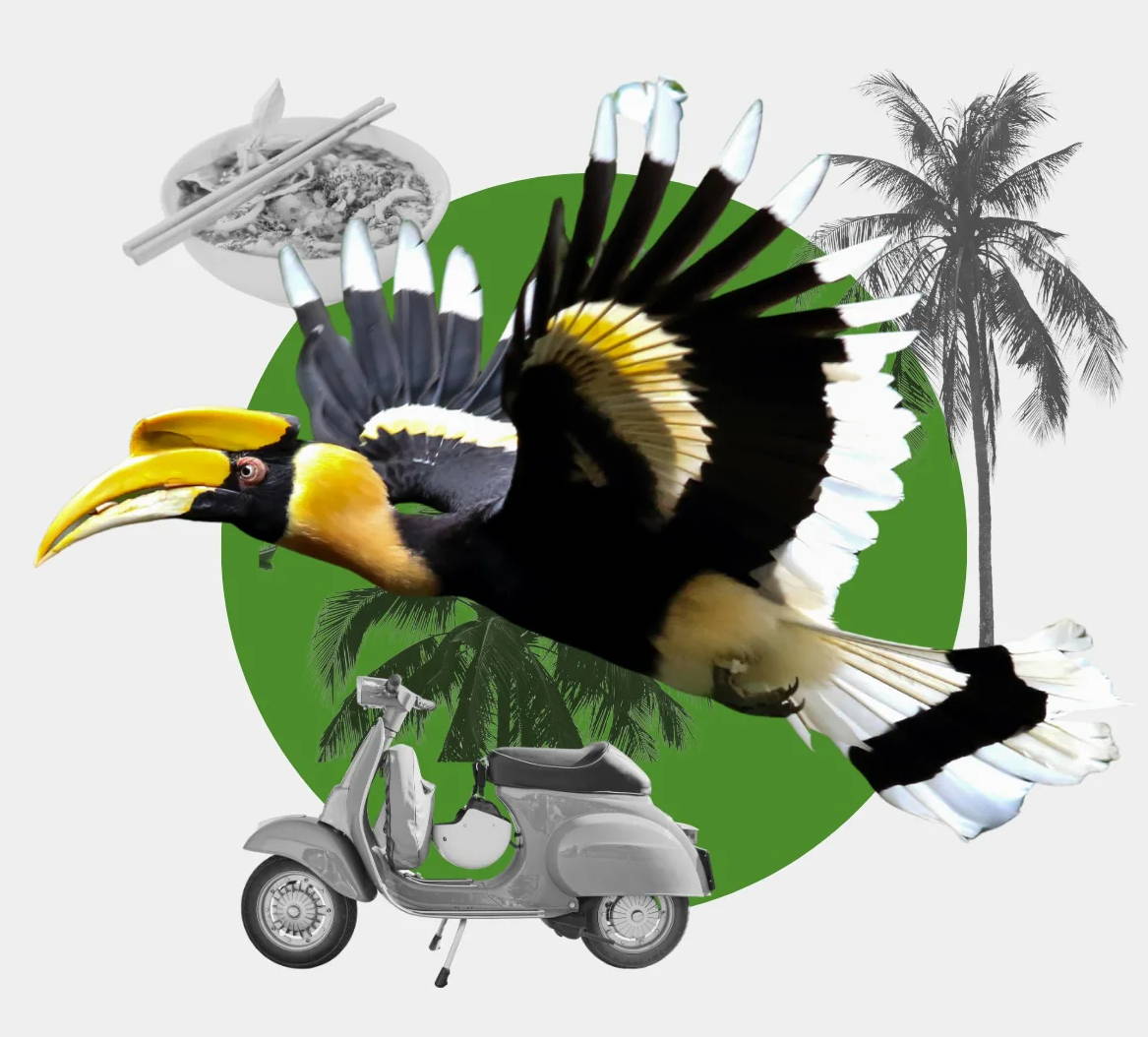 Great Hornbill flying with a green circle background, a vesap bike and palm trees