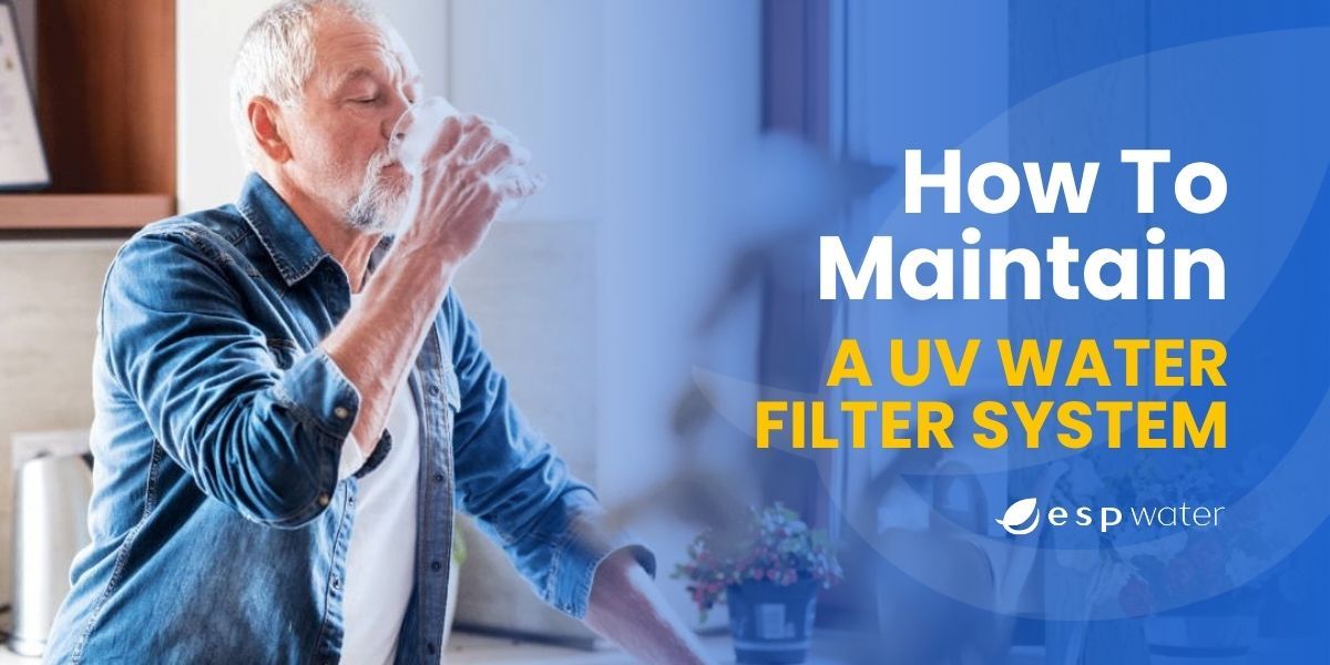 UV water filter system for purified water