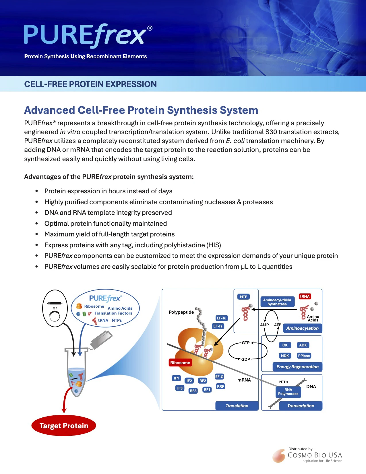 A thumbnail of PUREfrex brochure