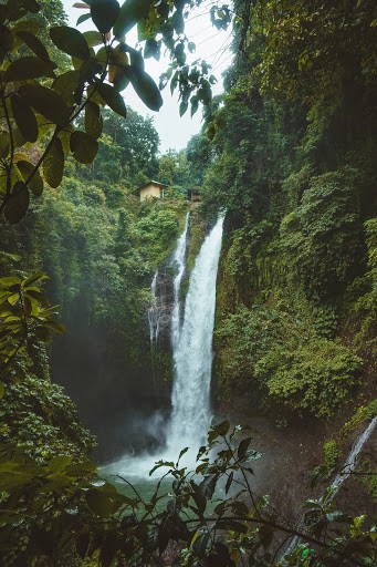 waterfall in jungle_Earth Day