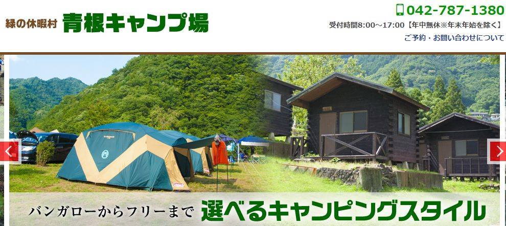 【関東編】冬キャンプにおすすめのキャンプ場--緑の休暇村 青根キャンプ場