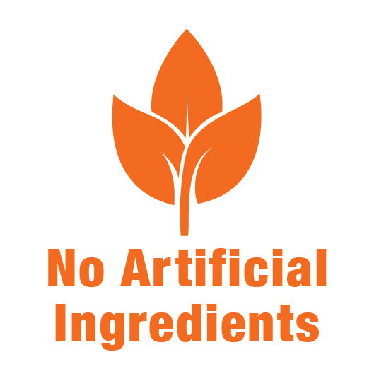 No artificial ingredients