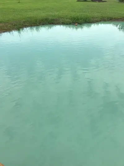 Murky Pond water from clay particles